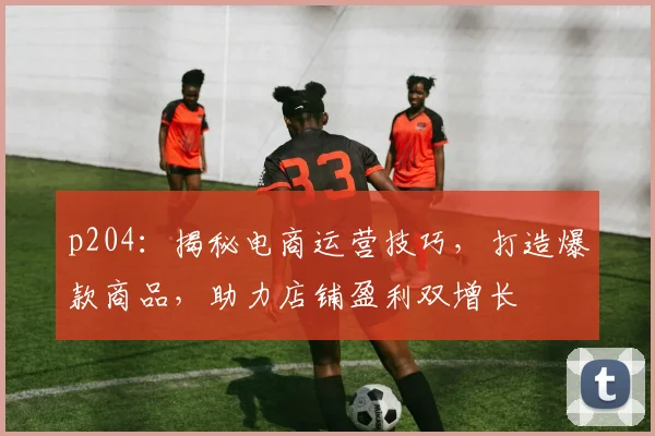p204：揭秘电商运营技巧，打造爆款商品，助力店铺盈利双增长
