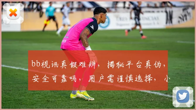 bb视讯真假难辨，揭秘平台真伪，安全可靠吗，用户需谨慎选择，小心上当。