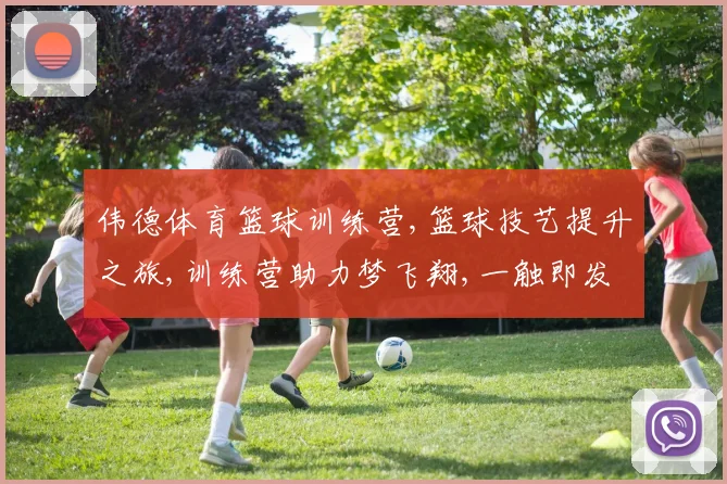 伟德体育篮球训练营,篮球技艺提升之旅,训练营助力梦飞翔,一触即发