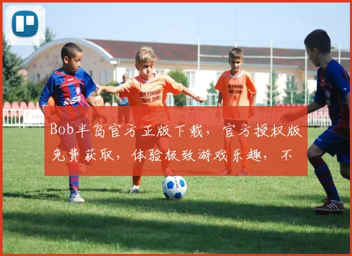 Bob半岛官方正版下载，官方授权版免费获取，体验极致游戏乐趣，不容错过