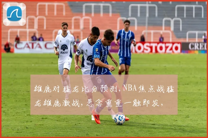 雄鹿对猛龙比分预测,NBA焦点战猛龙雄鹿激战,悬念重重一触即发,