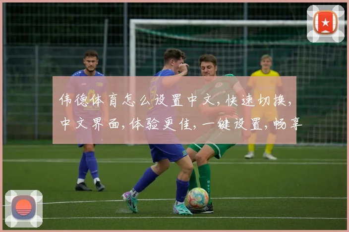 伟德体育怎么设置中文,快速切换,中文界面,体验更佳,一键设置,畅享体育盛宴