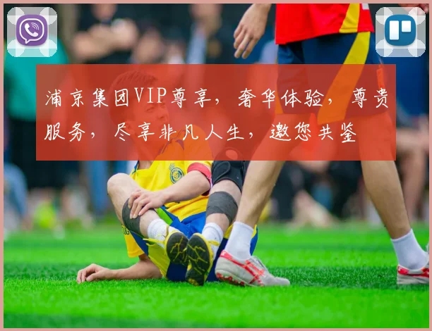 浦京集团VIP尊享，奢华体验，尊贵服务，尽享非凡人生，邀您共鉴
