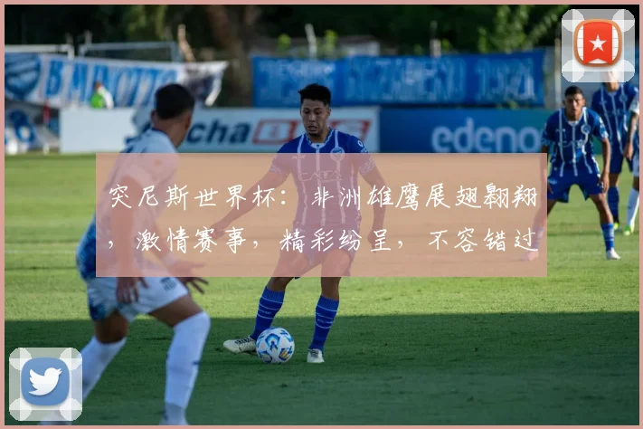 突尼斯世界杯：非洲雄鹰展翅翱翔，激情赛事，精彩纷呈，不容错过